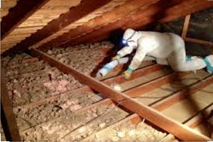 Attic Cleaning